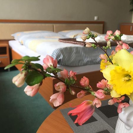 Apartman Darmon 皮耶什佳尼 外观 照片