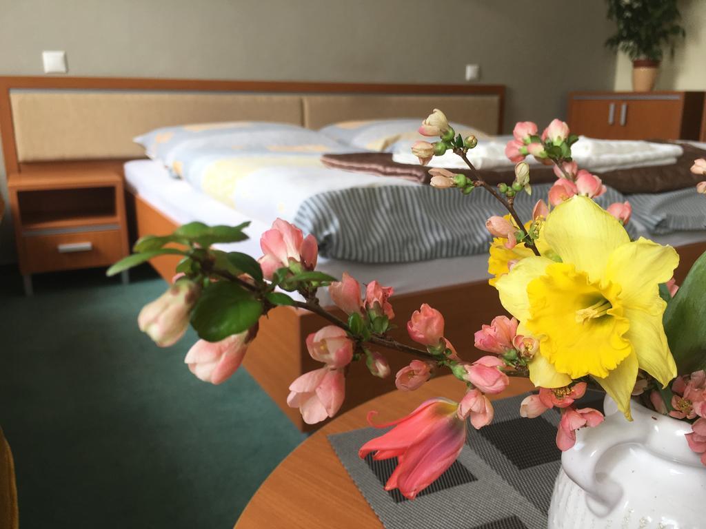 Apartman Darmon 皮耶什佳尼 外观 照片