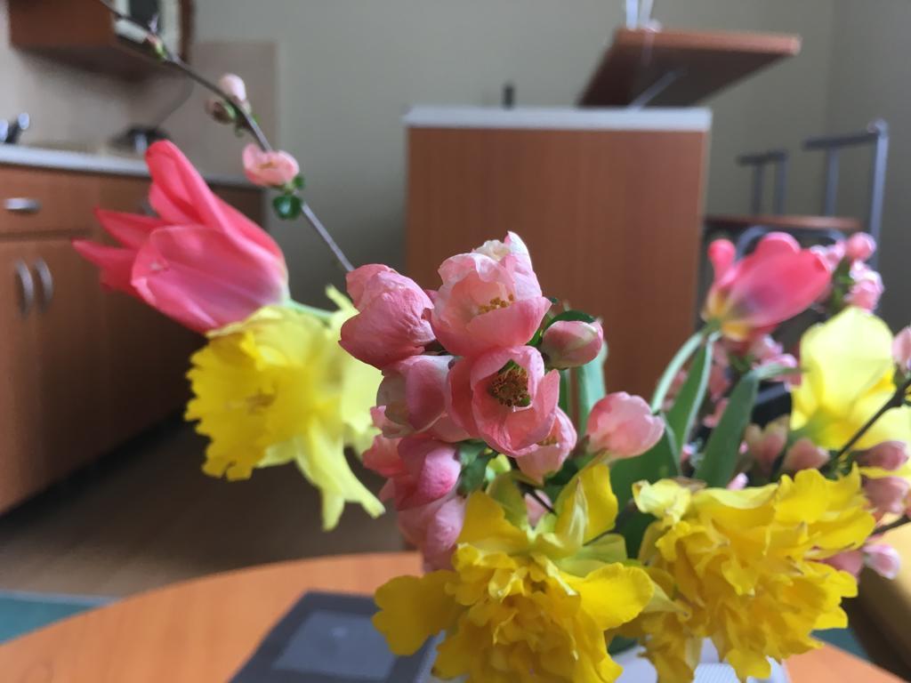 Apartman Darmon 皮耶什佳尼 外观 照片
